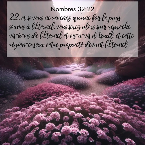 Segond21 Nombres  ; image nature: image avec le verset biblique :et si vous ne revenez qu&#039;une fois le pays soumis à l&#039;Eternel, vous serez alors sans reproche vis-à-vis de l&#039;Eternel et vis-à-vis d&#039;Israël, et cette région-ci sera votre propriété devant l&#039;Eternel. ;  ; 32:22