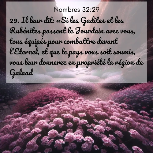 Segond21 Nombres  ; image nature: image avec le verset biblique :Il leur dit: «Si les Gadites et les Rubénites passent le Jourdain avec vous, tous équipés pour combattre devant l&#039;Eternel, et que le pays vous soit soumis, vous leur donnerez en propriété la région de Galaad. ;  ; 32:29