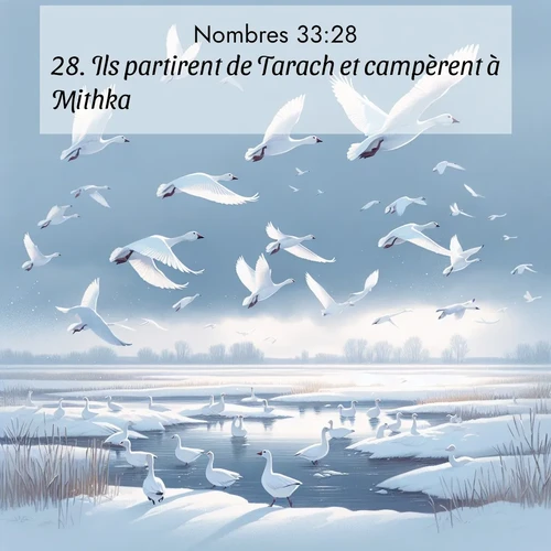 image nature avec verset biblique de la Bible