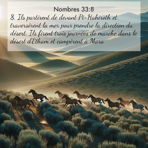 Segond21 Nombres  ; image nature: image avec le verset biblique :Ils partirent de devant Pi-Hahiroth et traversèrent la mer pour prendre la direction du désert. Ils firent trois journées de marche dans le désert d&#039;Etham et campèrent à Mara. ;  ; 33:8