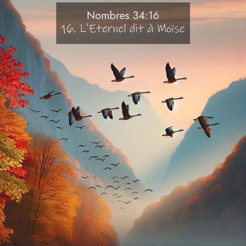 Segond21 Nombres  ; image nature: image avec le verset biblique :L&#039;Eternel dit à Moïse: ;  ; 34:16