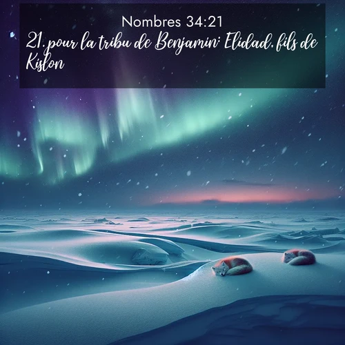 Segond21 Nombres  ; image nature: image avec le verset biblique :pour la tribu de Benjamin: Elidad, fils de Kislon; ;  ; 34:21