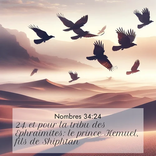Segond21 Nombres  ; image nature: image avec le verset biblique :et pour la tribu des Ephraïmites: le prince Kemuel, fils de Shiphtan; ;  ; 34:24