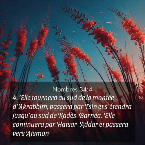 Segond21 Nombres  ; image nature: image avec le verset biblique :Elle tournera au sud de la montée d&#039;Akrabbim, passera par Tsin et s&#039;étendra jusqu&#039;au sud de Kadès-Barnéa. Elle continuera par Hatsar-Addar et passera vers Atsmon. ;  ; 34:4
