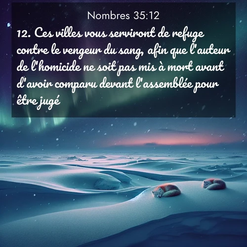 Segond21 Nombres  ; image nature: image avec le verset biblique :Ces villes vous serviront de refuge contre le vengeur du sang, afin que l&#039;auteur de l&#039;homicide ne soit pas mis à mort avant d&#039;avoir comparu devant l&#039;assemblée pour être jugé. ;  ; 35:12