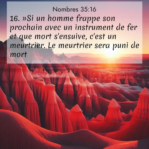 Segond21 Nombres  ; image nature: image avec le verset biblique :»Si un homme frappe son prochain avec un instrument de fer et que mort s&#039;ensuive, c&#039;est un meurtrier. Le meurtrier sera puni de mort. ;  ; 35:16