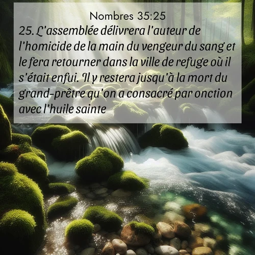 Segond21 Nombres  ; image nature: image avec le verset biblique :L&#039;assemblée délivrera l&#039;auteur de l&#039;homicide de la main du vengeur du sang et le fera retourner dans la ville de refuge où il s&#039;était enfui. Il y restera jusqu&#039;à la mort du grand-prêtre qu&#039;on a consacré par onction avec l&#039;huile sainte. ;  ; 35:25