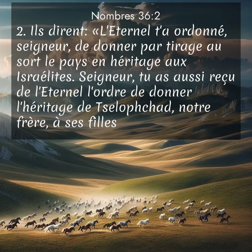 Segond21 Nombres  ; image nature: image avec le verset biblique :Ils dirent: «L&#039;Eternel t&#039;a ordonné, seigneur, de donner par tirage au sort le pays en héritage aux Israélites. Seigneur, tu as aussi reçu de l&#039;Eternel l&#039;ordre de donner l&#039;héritage de Tselophchad, notre frère, à ses filles. ;  ; 36:2