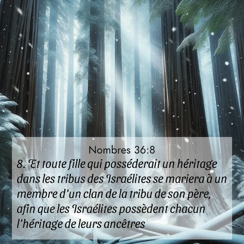 Segond21 Nombres  ; image nature: image avec le verset biblique :Et toute fille qui posséderait un héritage dans les tribus des Israélites se mariera à un membre d&#039;un clan de la tribu de son père, afin que les Israélites possèdent chacun l&#039;héritage de leurs ancêtres. ;  ; 36:8