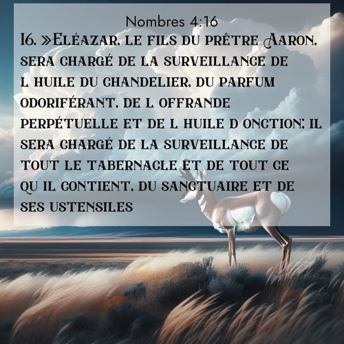 Segond21 Nombres  ; image nature: image avec le verset biblique :»Eléazar, le fils du prêtre Aaron, sera chargé de la surveillance de l&#039;huile du chandelier, du parfum odoriférant, de l&#039;offrande perpétuelle et de l&#039;huile d&#039;onction; il sera chargé de la surveillance de tout le tabernacle et de tout ce qu&#039;il contient, du sanctuaire et de ses ustensiles.» ;  ; 4:16
