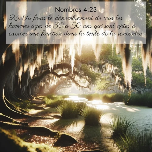 Segond21 Nombres  ; image nature: image avec le verset biblique :Tu feras le dénombrement de tous les hommes âgés de 30 à 50 ans qui sont aptes à exercer une fonction dans la tente de la rencontre. ;  ; 4:23