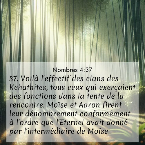 Segond21 Nombres  ; image nature: image avec le verset biblique :Voilà l&#039;effectif des clans des Kehathites, tous ceux qui exerçaient des fonctions dans la tente de la rencontre. Moïse et Aaron firent leur dénombrement conformément à l&#039;ordre que l&#039;Eternel avait donné par l&#039;intermédiaire de Moïse. ;  ; 4:37
