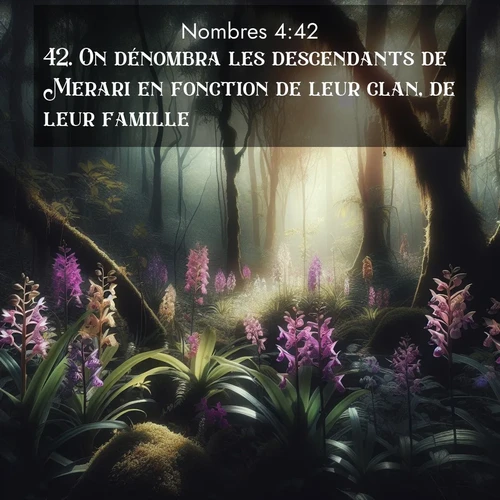 Segond21 Nombres  ; image nature: image avec le verset biblique :On dénombra les descendants de Merari en fonction de leur clan, de leur famille, ;  ; 4:42
