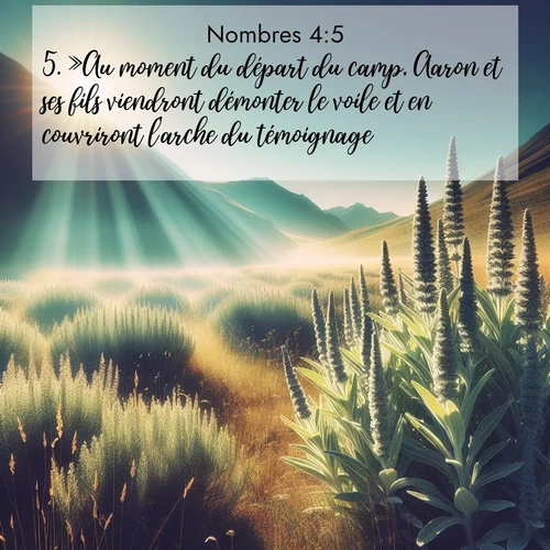 Segond21 Nombres  ; image nature: image avec le verset biblique :»Au moment du départ du camp, Aaron et ses fils viendront démonter le voile et en couvriront l&#039;arche du témoignage. ;  ; 4:5