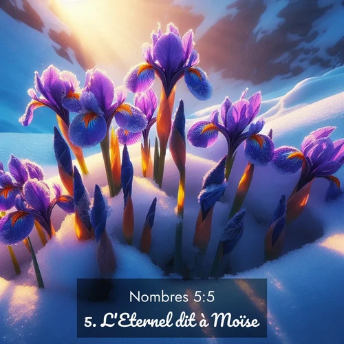 Segond21 Nombres  ; image nature: image avec le verset biblique :L&#039;Eternel dit à Moïse: ;  ; 5:5