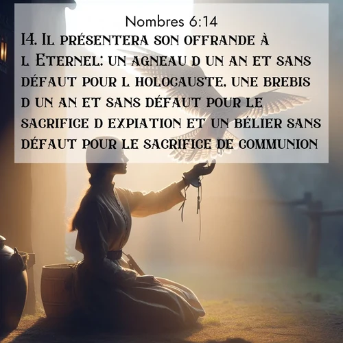 Segond21 Nombres  ; image nature: image avec le verset biblique :Il présentera son offrande à l&#039;Eternel: un agneau d&#039;un an et sans défaut pour l&#039;holocauste, une brebis d&#039;un an et sans défaut pour le sacrifice d&#039;expiation et un bélier sans défaut pour le sacrifice de communion; ;  ; 6:14