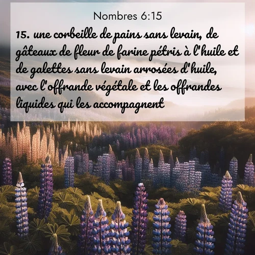 Segond21 Nombres  ; image nature: image avec le verset biblique :une corbeille de pains sans levain, de gâteaux de fleur de farine pétris à l&#039;huile et de galettes sans levain arrosées d&#039;huile, avec l&#039;offrande végétale et les offrandes liquides qui les accompagnent. ;  ; 6:15