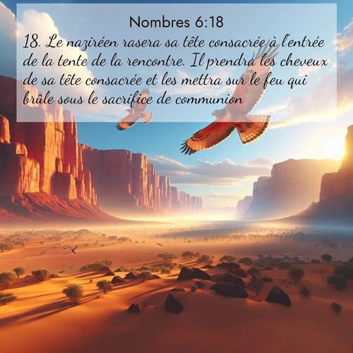 Segond21 Nombres  ; image nature: image avec le verset biblique :Le naziréen rasera sa tête consacrée à l&#039;entrée de la tente de la rencontre. Il prendra les cheveux de sa tête consacrée et les mettra sur le feu qui brûle sous le sacrifice de communion. ;  ; 6:18
