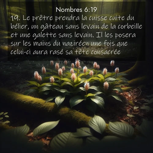 Segond21 Nombres  ; image nature: image avec le verset biblique :Le prêtre prendra la cuisse cuite du bélier, un gâteau sans levain de la corbeille et une galette sans levain. Il les posera sur les mains du naziréen une fois que celui-ci aura rasé sa tête consacrée. ;  ; 6:19