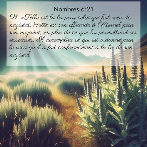 Segond21 Nombres  ; image nature: image avec le verset biblique :»Telle est la loi pour celui qui fait voeu de naziréat. Telle est son offrande à l&#039;Eternel pour son naziréat, en plus de ce que lui permettront ses ressources. Il accomplira ce qui est ordonné pour le voeu qu&#039;il a fait conformément à la loi de son naziréat.» ;  ; 6:21
