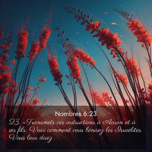 Segond21 Nombres  ; image nature: image avec le verset biblique :«Transmets ces instructions à Aaron et à ses fils: Voici comment vous bénirez les Israélites. Vous leur direz: ;  ; 6:23