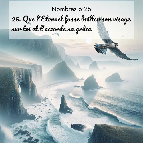 Segond21 Nombres  ; image nature: image avec le verset biblique :Que l&#039;Eternel fasse briller son visage sur toi et t&#039;accorde sa grâce! ;  ; 6:25