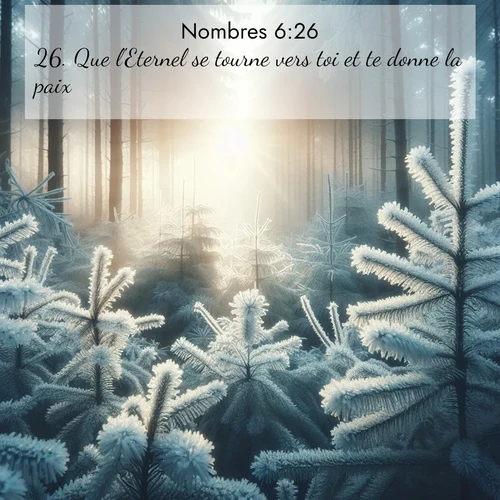 Segond21 Nombres  ; image nature: image avec le verset biblique :Que l&#039;Eternel se tourne vers toi et te donne la paix!&#039; ;  ; 6:26