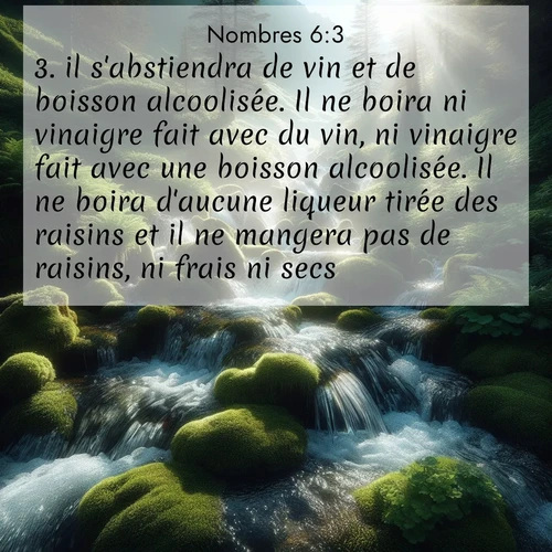 Segond21 Nombres  ; image nature: image avec le verset biblique :il s&#039;abstiendra de vin et de boisson alcoolisée. Il ne boira ni vinaigre fait avec du vin, ni vinaigre fait avec une boisson alcoolisée. Il ne boira d&#039;aucune liqueur tirée des raisins et il ne mangera pas de raisins, ni frais ni secs. ;  ; 6:3