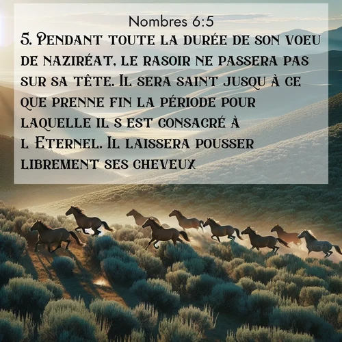 Segond21 Nombres  ; image nature: image avec le verset biblique :Pendant toute la durée de son voeu de naziréat, le rasoir ne passera pas sur sa tête. Il sera saint jusqu&#039;à ce que prenne fin la période pour laquelle il s&#039;est consacré à l&#039;Eternel. Il laissera pousser librement ses cheveux. ;  ; 6:5