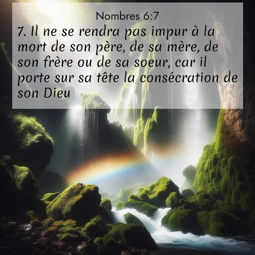 Segond21 Nombres  ; image nature: image avec le verset biblique :Il ne se rendra pas impur à la mort de son père, de sa mère, de son frère ou de sa soeur, car il porte sur sa tête la consécration de son Dieu. ;  ; 6:7
