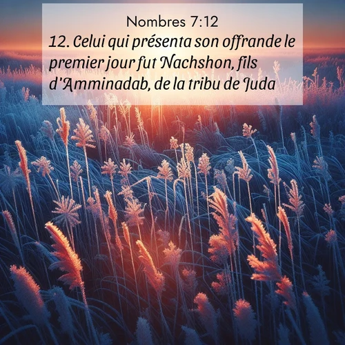 Segond21 Nombres  ; image nature: image avec le verset biblique :Celui qui présenta son offrande le premier jour fut Nachshon, fils d&#039;Amminadab, de la tribu de Juda. ;  ; 7:12