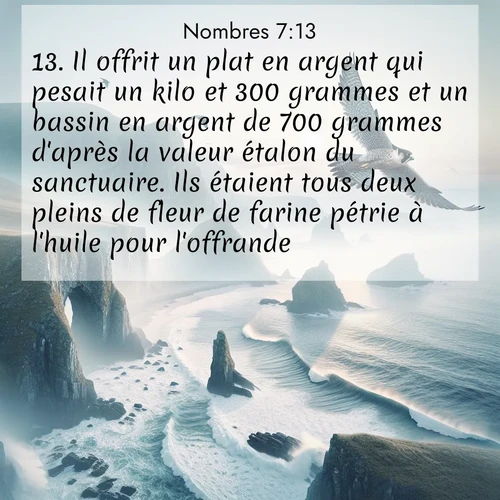 Segond21 Nombres  ; image nature: image avec le verset biblique :Il offrit un plat en argent qui pesait un kilo et 300 grammes et un bassin en argent de 700 grammes d&#039;après la valeur étalon du sanctuaire. Ils étaient tous deux pleins de fleur de farine pétrie à l&#039;huile pour l&#039;offrande. ;  ; 7:13