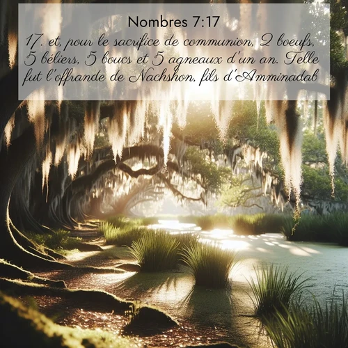 Segond21 Nombres  ; image nature: image avec le verset biblique :et, pour le sacrifice de communion, 2 boeufs, 5 béliers, 5 boucs et 5 agneaux d&#039;un an. Telle fut l&#039;offrande de Nachshon, fils d&#039;Amminadab. ;  ; 7:17
