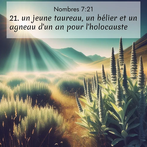 Segond21 Nombres  ; image nature: image avec le verset biblique :un jeune taureau, un bélier et un agneau d&#039;un an pour l&#039;holocauste, ;  ; 7:21