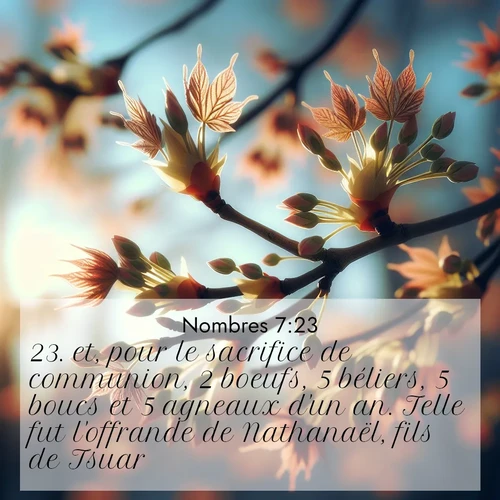 Segond21 Nombres  ; image nature: image avec le verset biblique :et, pour le sacrifice de communion, 2 boeufs, 5 béliers, 5 boucs et 5 agneaux d&#039;un an. Telle fut l&#039;offrande de Nathanaël, fils de Tsuar. ;  ; 7:23