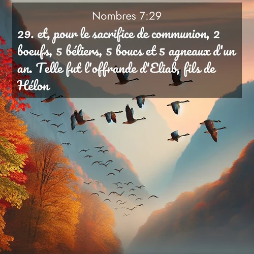 Segond21 Nombres  ; image nature: image avec le verset biblique :et, pour le sacrifice de communion, 2 boeufs, 5 béliers, 5 boucs et 5 agneaux d&#039;un an. Telle fut l&#039;offrande d&#039;Eliab, fils de Hélon. ;  ; 7:29