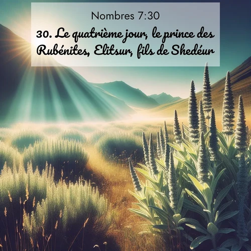 Segond21 Nombres  ; image nature: image avec le verset biblique :Le quatrième jour, le prince des Rubénites, Elitsur, fils de Shedéur, ;  ; 7:30