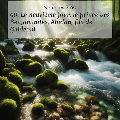 Segond21 Nombres  ; image nature: image avec le verset biblique :Le neuvième jour, le prince des Benjaminites, Abidan, fils de Guideoni, ;  ; 7:60