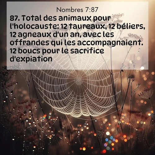 Segond21 Nombres  ; image nature: image avec le verset biblique :Total des animaux pour l&#039;holocauste: 12 taureaux, 12 béliers, 12 agneaux d&#039;un an, avec les offrandes qui les accompagnaient. 12 boucs pour le sacrifice d&#039;expiation. ;  ; 7:87