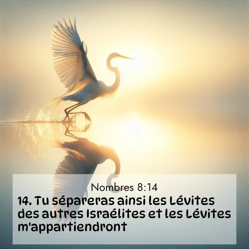 Segond21 Nombres  ; image nature: image avec le verset biblique :Tu sépareras ainsi les Lévites des autres Israélites et les Lévites m&#039;appartiendront. ;  ; 8:14