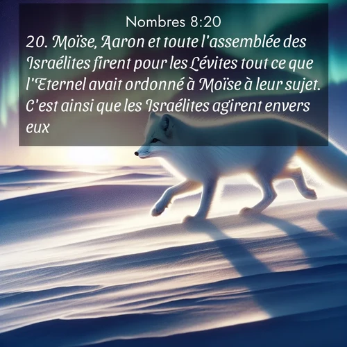 Segond21 Nombres  ; image nature: image avec le verset biblique :Moïse, Aaron et toute l&#039;assemblée des Israélites firent pour les Lévites tout ce que l&#039;Eternel avait ordonné à Moïse à leur sujet. C&#039;est ainsi que les Israélites agirent envers eux. ;  ; 8:20