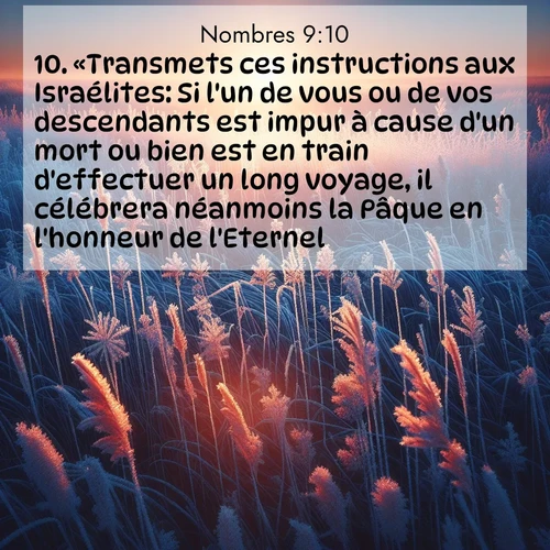 Segond21 Nombres  ; image nature: image avec le verset biblique :«Transmets ces instructions aux Israélites: Si l&#039;un de vous ou de vos descendants est impur à cause d&#039;un mort ou bien est en train d&#039;effectuer un long voyage, il célébrera néanmoins la Pâque en l&#039;honneur de l&#039;Eternel. ;  ; 9:10