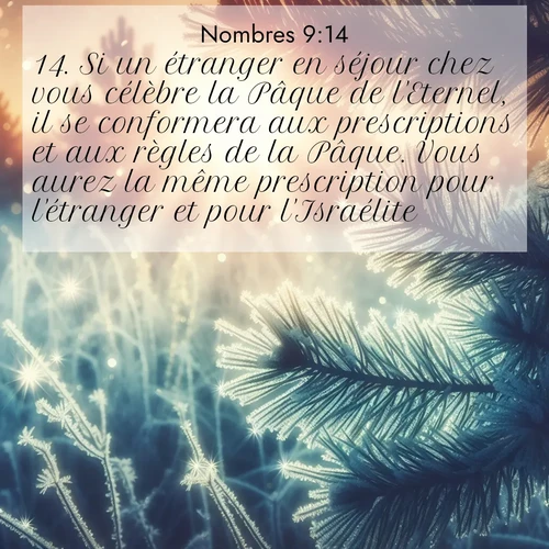Segond21 Nombres  ; image nature: image avec le verset biblique :Si un étranger en séjour chez vous célèbre la Pâque de l&#039;Eternel, il se conformera aux prescriptions et aux règles de la Pâque. Vous aurez la même prescription pour l&#039;étranger et pour l&#039;Israélite.» ;  ; 9:14