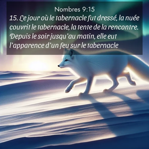 Segond21 Nombres  ; image nature: image avec le verset biblique :Le jour où le tabernacle fut dressé, la nuée couvrit le tabernacle, la tente de la rencontre. Depuis le soir jusqu&#039;au matin, elle eut l&#039;apparence d&#039;un feu sur le tabernacle. ;  ; 9:15
