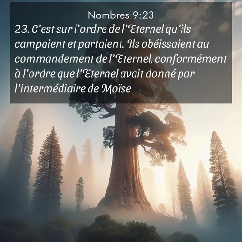 Segond21 Nombres  ; image nature: image avec le verset biblique :C&#039;est sur l&#039;ordre de l&#039;Eternel qu&#039;ils campaient et partaient. Ils obéissaient au commandement de l&#039;Eternel, conformément à l&#039;ordre que l&#039;Eternel avait donné par l&#039;intermédiaire de Moïse. ;  ; 9:23
