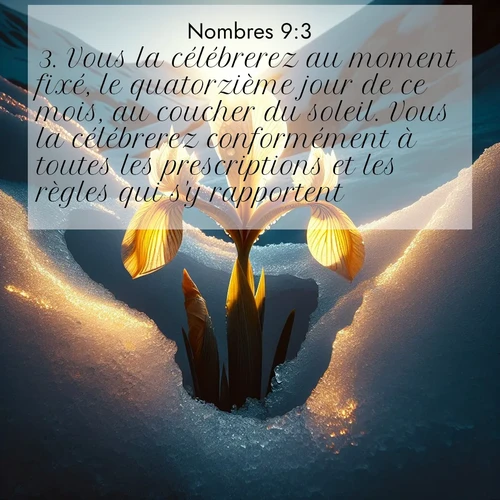 Segond21 Nombres  ; image nature: image avec le verset biblique :Vous la célébrerez au moment fixé, le quatorzième jour de ce mois, au coucher du soleil. Vous la célébrerez conformément à toutes les prescriptions et les règles qui s&#039;y rapportent.» ;  ; 9:3