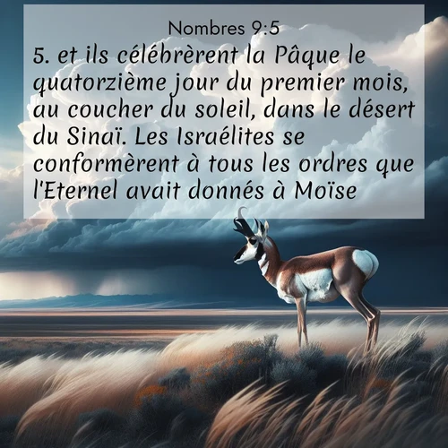 Segond21 Nombres  ; image nature: image avec le verset biblique :et ils célébrèrent la Pâque le quatorzième jour du premier mois, au coucher du soleil, dans le désert du Sinaï. Les Israélites se conformèrent à tous les ordres que l&#039;Eternel avait donnés à Moïse. ;  ; 9:5