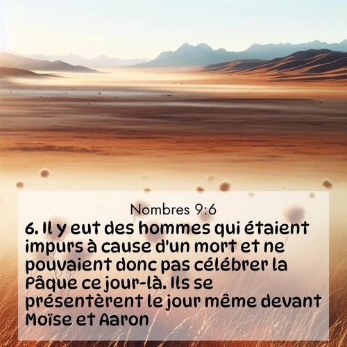 Segond21 Nombres  ; image nature: image avec le verset biblique :Il y eut des hommes qui étaient impurs à cause d&#039;un mort et ne pouvaient donc pas célébrer la Pâque ce jour-là. Ils se présentèrent le jour même devant Moïse et Aaron ;  ; 9:6