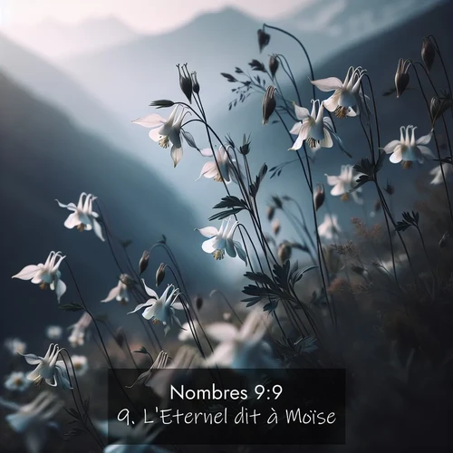 Segond21 Nombres  ; image nature: image avec le verset biblique :L&#039;Eternel dit à Moïse: ;  ; 9:9