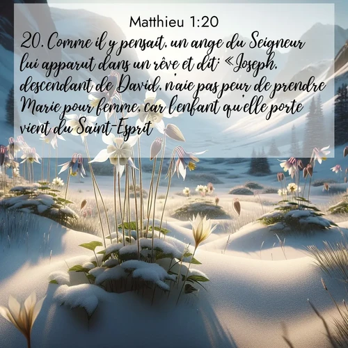 Segond21 Évangile selon Matthieu  ; image nature: image avec le verset biblique :Comme il y pensait, un ange du Seigneur lui apparut dans un rêve et dit: «Joseph, descendant de David, n&#039;aie pas peur de prendre Marie pour femme, car l&#039;enfant qu&#039;elle porte vient du Saint-Esprit. ;  ; 1:20